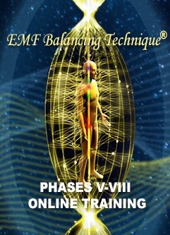 EMF BALANCING TECHNIQUE® ONLINE TRAINING: The Universal Calibration Lattice® (UCL) Workshop & Phases V-VIII Training (English/Spanish)