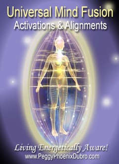 ENERGY EVENT SERIES: Universal Mind Fusion Activations & Alignments
