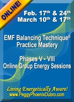 ENERGY EVENT SERIES: EMF Balancing Technique® Practice Mastery Phases V-VIII Group Energy Sessions (English/Spanish)
