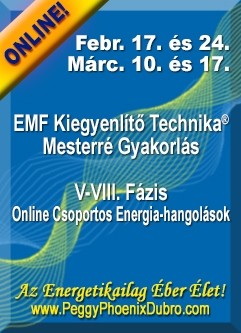 ENERGIA-HANGOLÁS SOROZAT: EMF Kiegyenlítő Technika® Mesterré Gyakorlás V-VIII. Fázis Csoportos Energia-hangolások (Magyar)