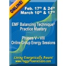 ENERGY EVENT SERIES: EMF Balancing Technique® Practice Mastery Phases V-VIII Group Energy Sessions (English/Spanish)