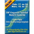 ENERGIA-HANGOLÁS SOROZAT: EMF Kiegyenlítő Technika® Mesterré Gyakorlás V-VIII. Fázis Csoportos Energia-hangolások (Magyar)