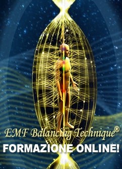 FORMAZIONE ONLINE EMF BALANCING TECHNIQUE®: Seminario sull'Universal Calibration Lattice® (UCL) & Formazione Fasi I-IV (Italiano)