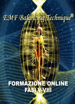 FORMAZIONE ONLINE EMF BALANCING TECHNIQUE®: Seminario sull'Universal Calibration Lattice® (UCL) & Formazione Fasi V-VIII (Italiano)