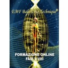 FORMAZIONE ONLINE EMF BALANCING TECHNIQUE®: Seminario sull'Universal Calibration Lattice® (UCL) & Formazione Fasi V-VIII (Italiano)