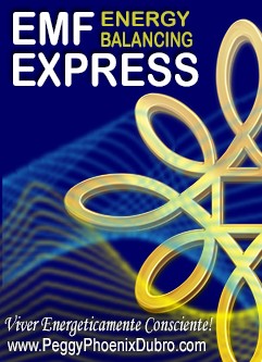 SÉRIE DE WEBINÁRIOS: Equilíbrio Energético EMF Express Online (Inglês/Português)