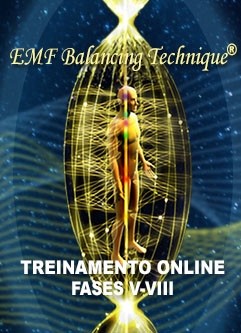 TREINAMENTO ONLINE DE EMF BALANCING TECHNIQUE®: O Workshop Universal Calibration Lattice® (UCL) e Treinamento das Fases V-VIII (Português)