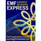 SÉRIE DE WEBINÁRIOS: Equilíbrio Energético EMF Express Online (Inglês/Português)