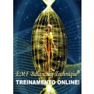 TREINAMENTO ONLINE DE EMF BALANCING TECHNIQUE®: O Workshop Universal Calibration Lattice® (UCL) e o Treinamento das Fases I-IV (Português)