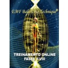 TREINAMENTO ONLINE DE EMF BALANCING TECHNIQUE®: O Workshop Universal Calibration Lattice® (UCL) e Treinamento das Fases V-VIII (Português)