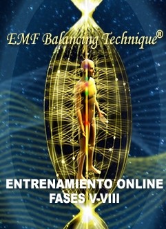 ENTRENAMIENTO ONLINE EMF BALANCING TECHNIQUE® Taller del Entramado de Calibración Universal (UCL) y Entrenamiento de Fases V-VIII (Español/Inglés)