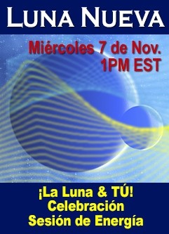 SERIE DE EVENTOS DE ENERGÍA: ¡LA LUNA & TÚ! Eventos de Sesiones de Energía del Ciclo Lunar, ¡Estilo Fénix! (Español/Inglés)